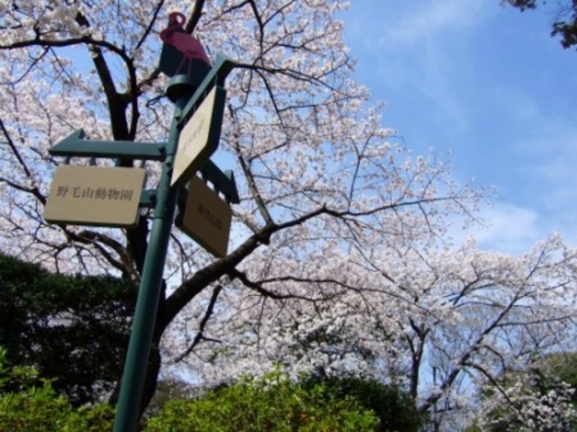 �X�ɍ��o��Ζ�юR�������ł��B_��юR�����̍�