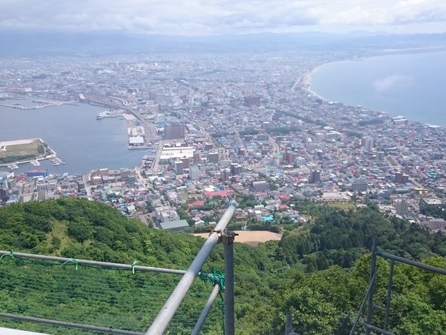 �������ł���_���َR