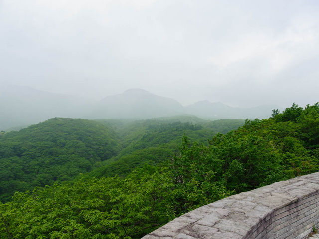 ���P�x���Ȃ�Ƃ��p�͌����Ă��܂���..._�ߐ{�����W�]�� ���l�̐��n