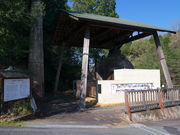 sklfh̐E̒ځuL̚v̓eʐ^1