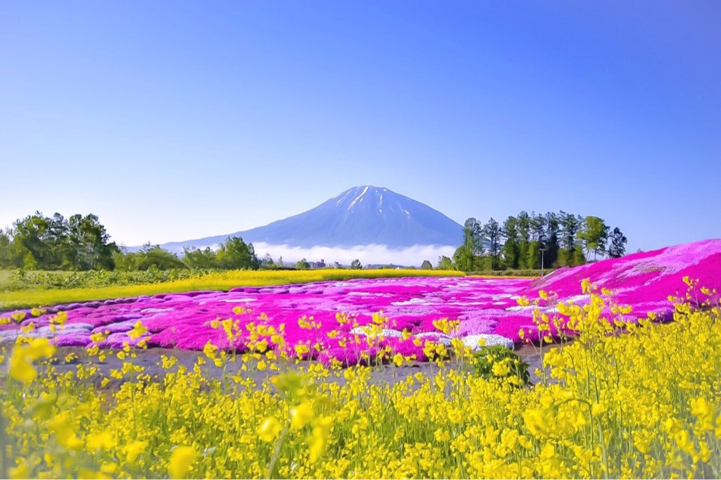 全国 今行きたい 和 絶景40選 日本ならではの美しい風景をご紹介 じゃらんニュース
