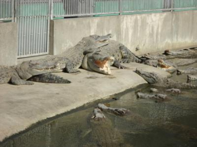 �S�R�n��_�S�R�n��