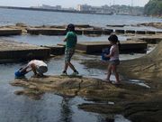 acê̂ƊCmӂꂠZ^[̓eʐ^1