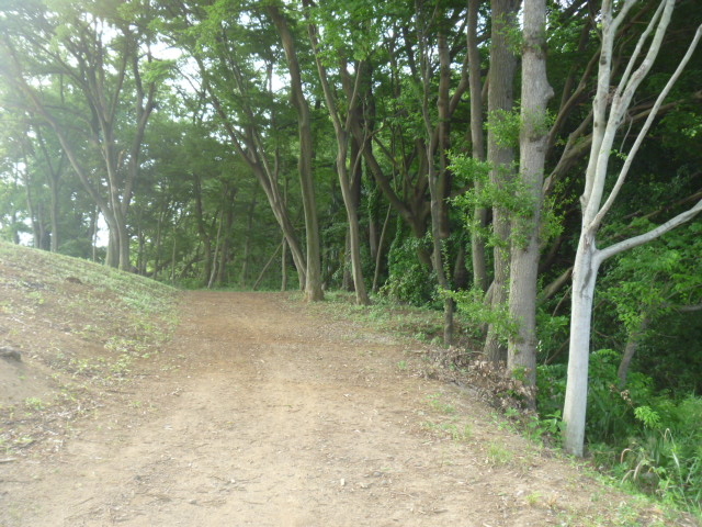 gV[̂ӂ邳ƕlR[X̓eʐ^1