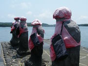 minami����̂͂�ق��n���̓��e�ʐ^2