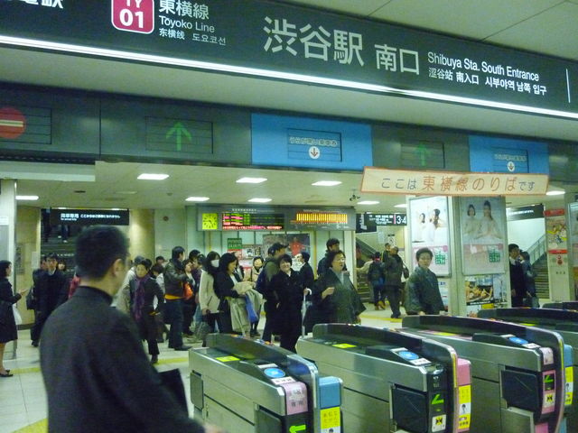 ���}�S�ݓX�����X�P�K���D�K_���}�S�ݓX�����X�A�[�o���t�@�b�V�����X��