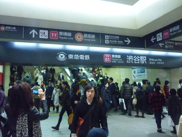 ���}�S�ݓX�����X�P�K���D�K_���}�S�ݓX�����X�A�[�o���t�@�b�V�����X��