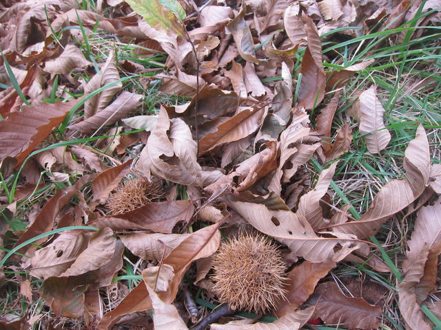 �I_��{����