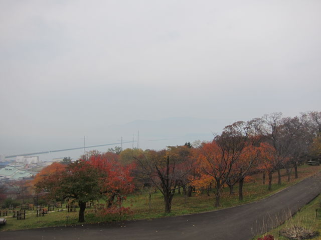 ���]_��{����