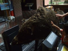 blackcatさんの埼玉県立自然の博物館の投稿写真3
