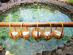 Ђ낳̑ÃKXւ̓eʐ^1