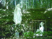 ���c�J�擙�X�͂̏Z�l����̉������̓��e�ʐ^1