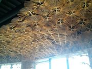 ɂ[B̂̍`~[WA̓eʐ^5