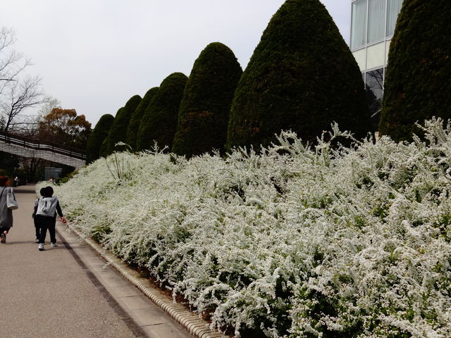 ���R�A����_���R�A����