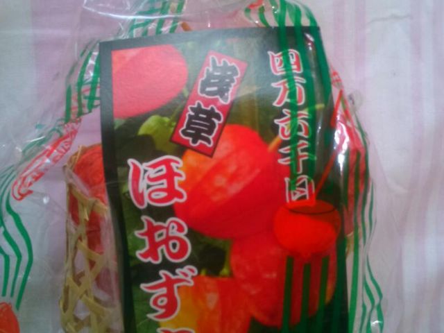 �w�󑐎��̂ق������x�B�N�₩�ȐF���B_�󑐎�