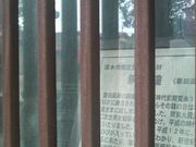 Ƃ񂳂̍ȓc̃NXmL̓eʐ^5