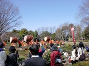 L̕{sy̐Xق̔~̓eʐ^1