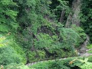 t.o����̖q�����R�����̓��e�ʐ^1