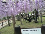 [҂̎O_Ђ̍C̓̓eʐ^1