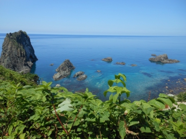 �V�C���ǂ���Δ������u���[�B_�����ӊC��