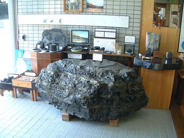 �I�V�@��ō̌@���ꂽ�ΒY_�{��s�ΒY�L�O��