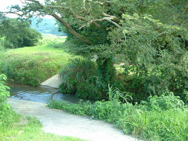 �������y�g���œn�͂��Ă��܂���_��L�،����َ���