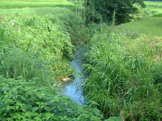 Ԃ񂳂̏L،َӂ̓eʐ^2