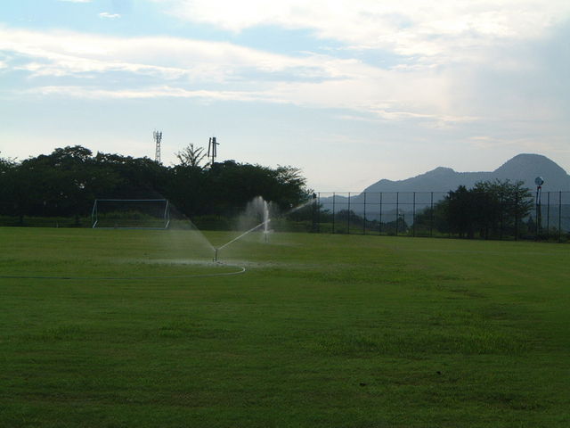 Ԃ񂳂̐Ƃ̋u^̓eʐ^2