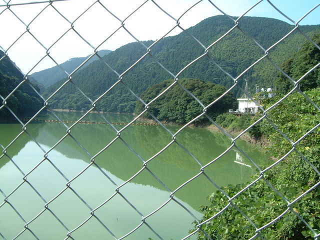 Ԃ񂳂̗͊ۃ_΂̓eʐ^2