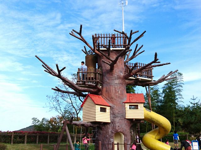 �V��_�s���l�G�̐X