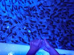 䂸܂܂̓mr[`h&mቤւ̓eʐ^1