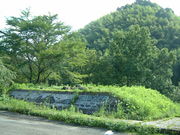 Ԃ񂳂̗͊ۃ_΂̓eʐ^1