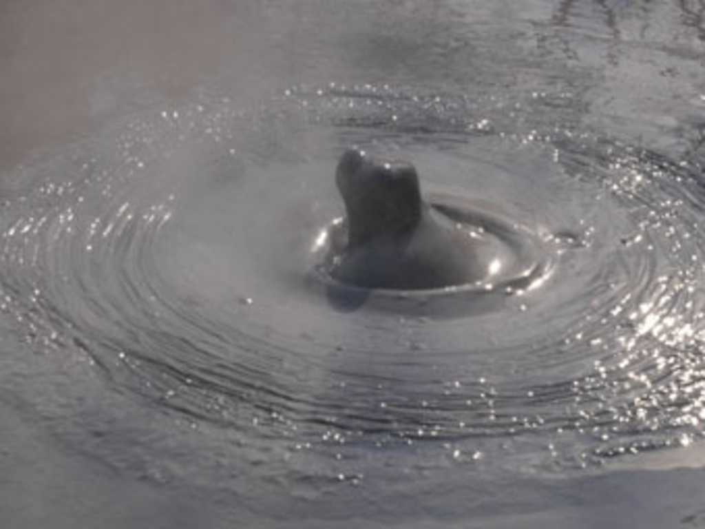 別府 大分県 駅周辺の観光スポットランキングtop10 じゃらんnet