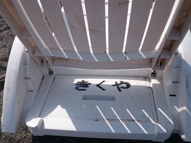 �x�b�g_���C������