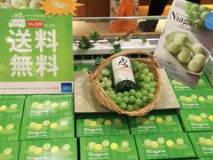 ��������񂳂�̏��M�@�m�َq�܁@���^�I�ւ̓��e�ʐ^1