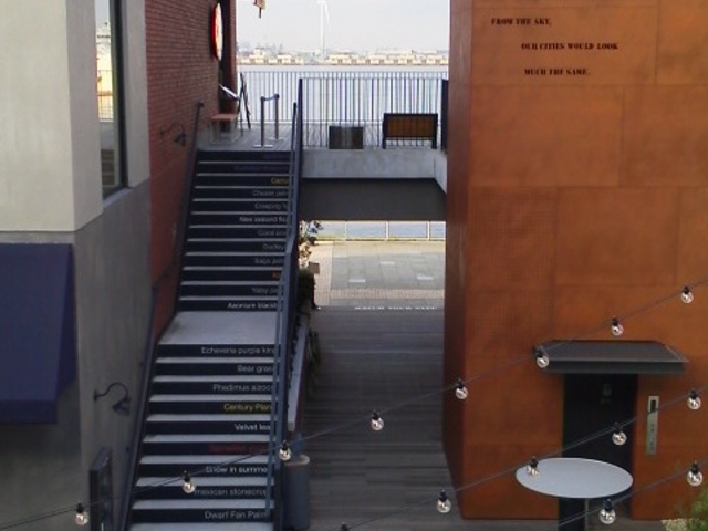 2�K�t���A����`������]��_MARINE & WALK YOKOHAMA�i�}���� �A���h �E�H�[�N ���R�n�}�j