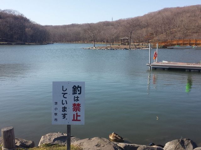 �����Y�r_�΃��u����