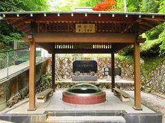 Ђ낳̈ɍۘIVCւ̓eʐ^1