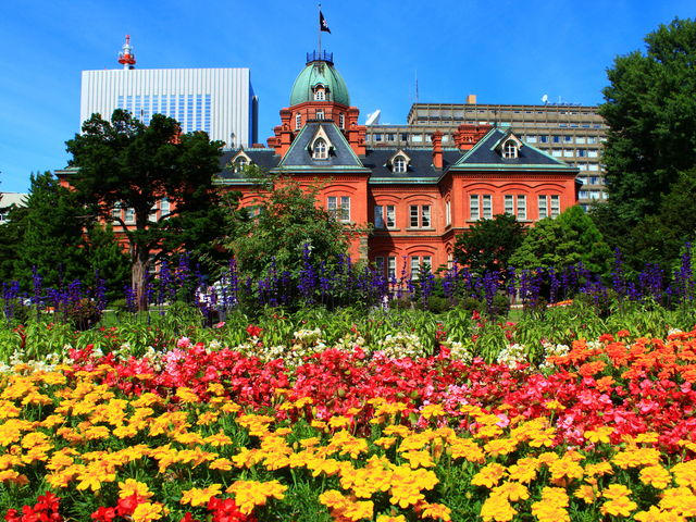 ^Ă̖kCƌΉԔłˁB_kC{(Ԃ񂪒)