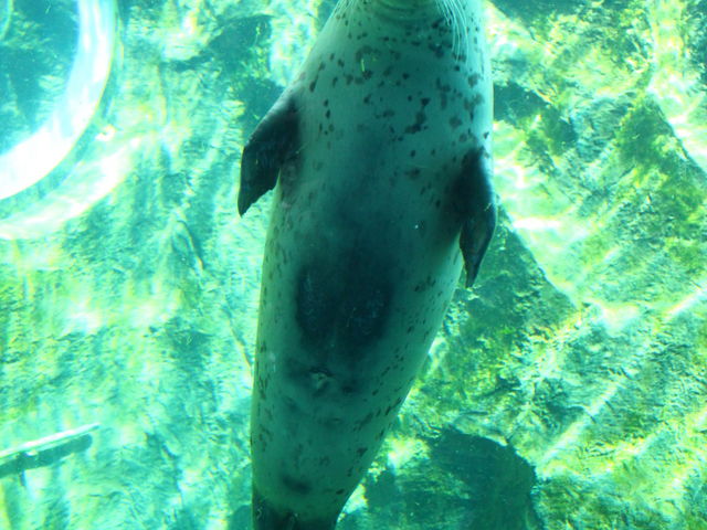 ���������Ŋς�_���R������