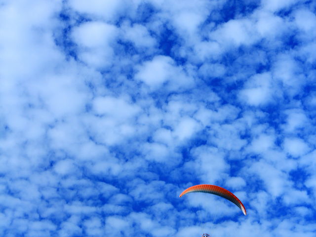 ������グ��ƁI�H_�l�G�ʂ̋u