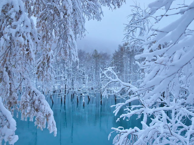 2015�N10�����{�A��r��̓V�C�\��𕷂��A���������B���Ғʂ�̏�i�ł����B
_���r