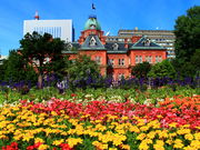 green̖kC{(Ԃ񂪒)̓eʐ^2