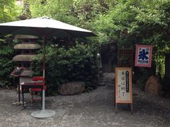 ɂ񂳂̈①ւ̓eʐ^1