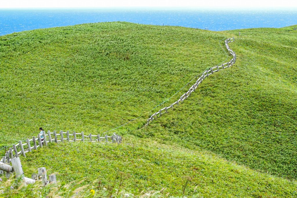 礼文島