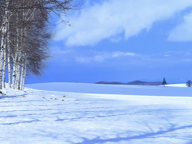 �����тƋu�ˁ`�p�b�`���[�N�̘H_�p�b�`���[�N�̘H