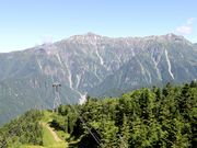 �Ƃ�����񂳂�̊}�P�x�̓��e�ʐ^1