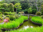 ���ǁ[����̖@�؎��̃J�L�c�o�^�̓��e�ʐ^1