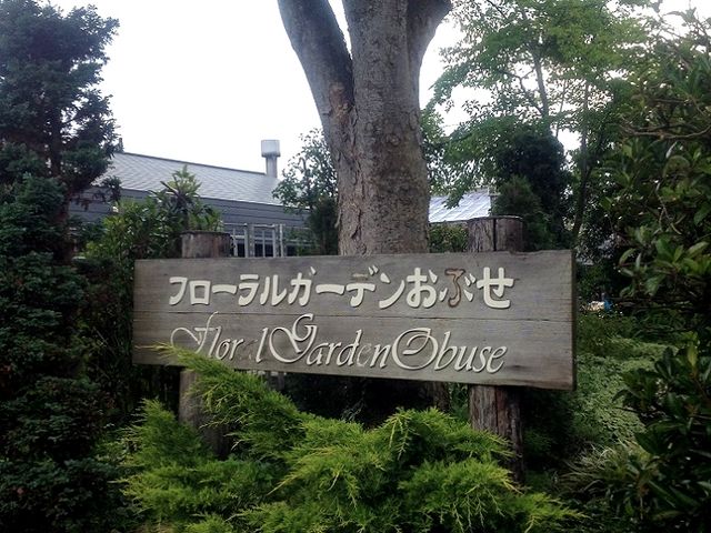 �����Ŕ�_�t���[�����K�[�f�����Ԃ�