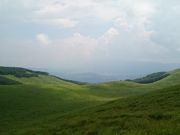 񂳂̃hCuC@@xm̓eʐ^2